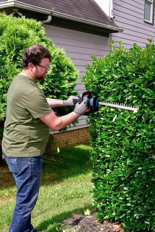 Cordless hedge trimmer, 20 V, tool only