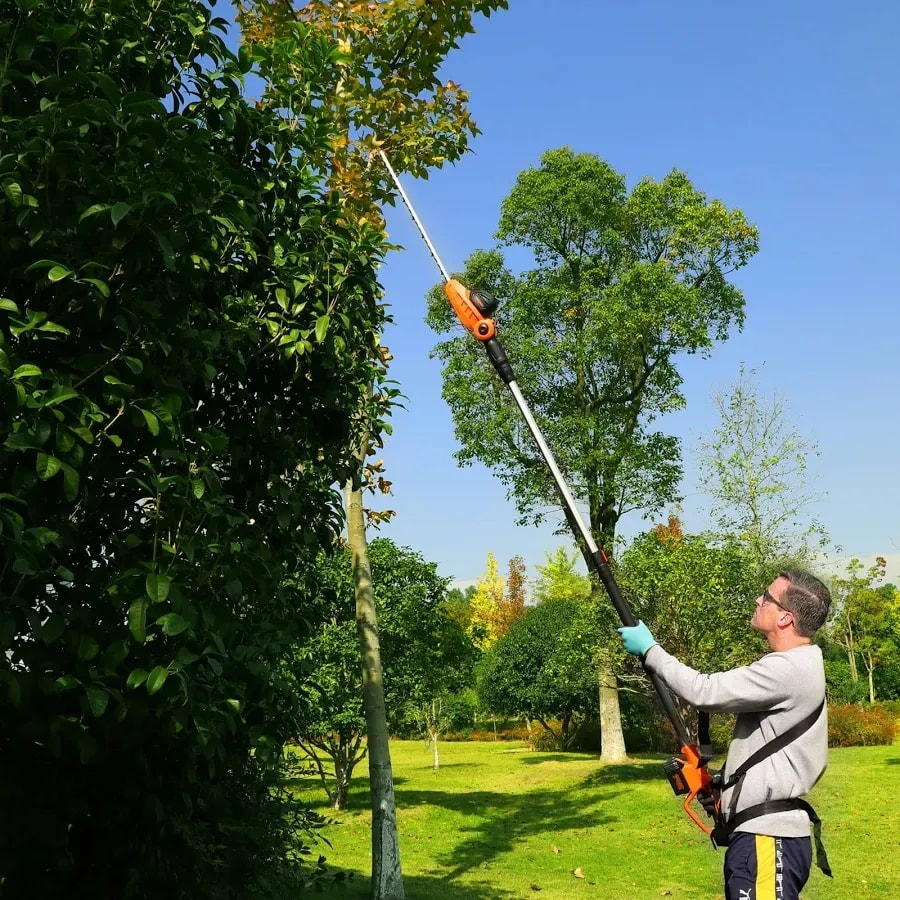 Cordless pole hedge trimmer, 20 V, 16 mm cut