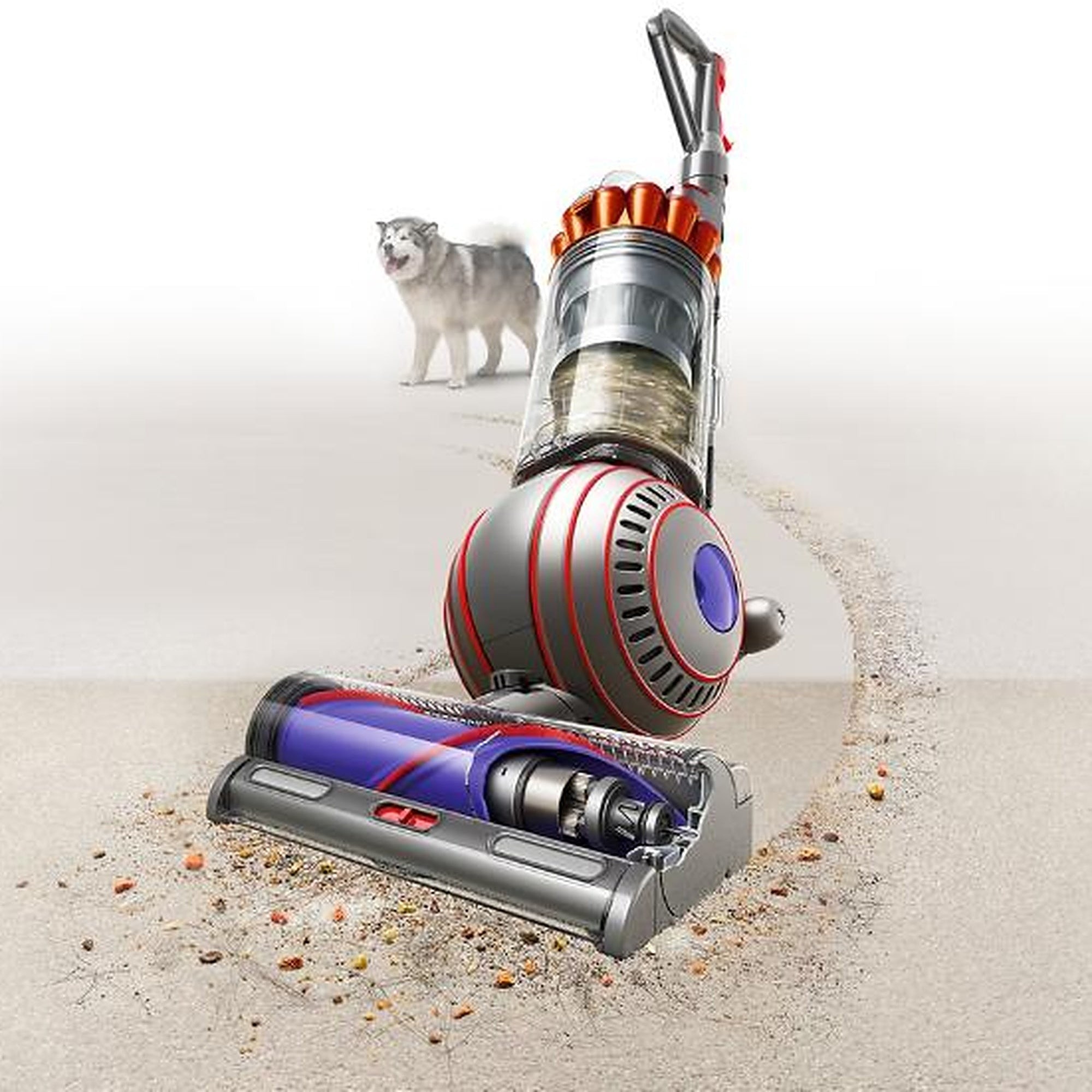 Dyson Ball Animal 3 Vacuum