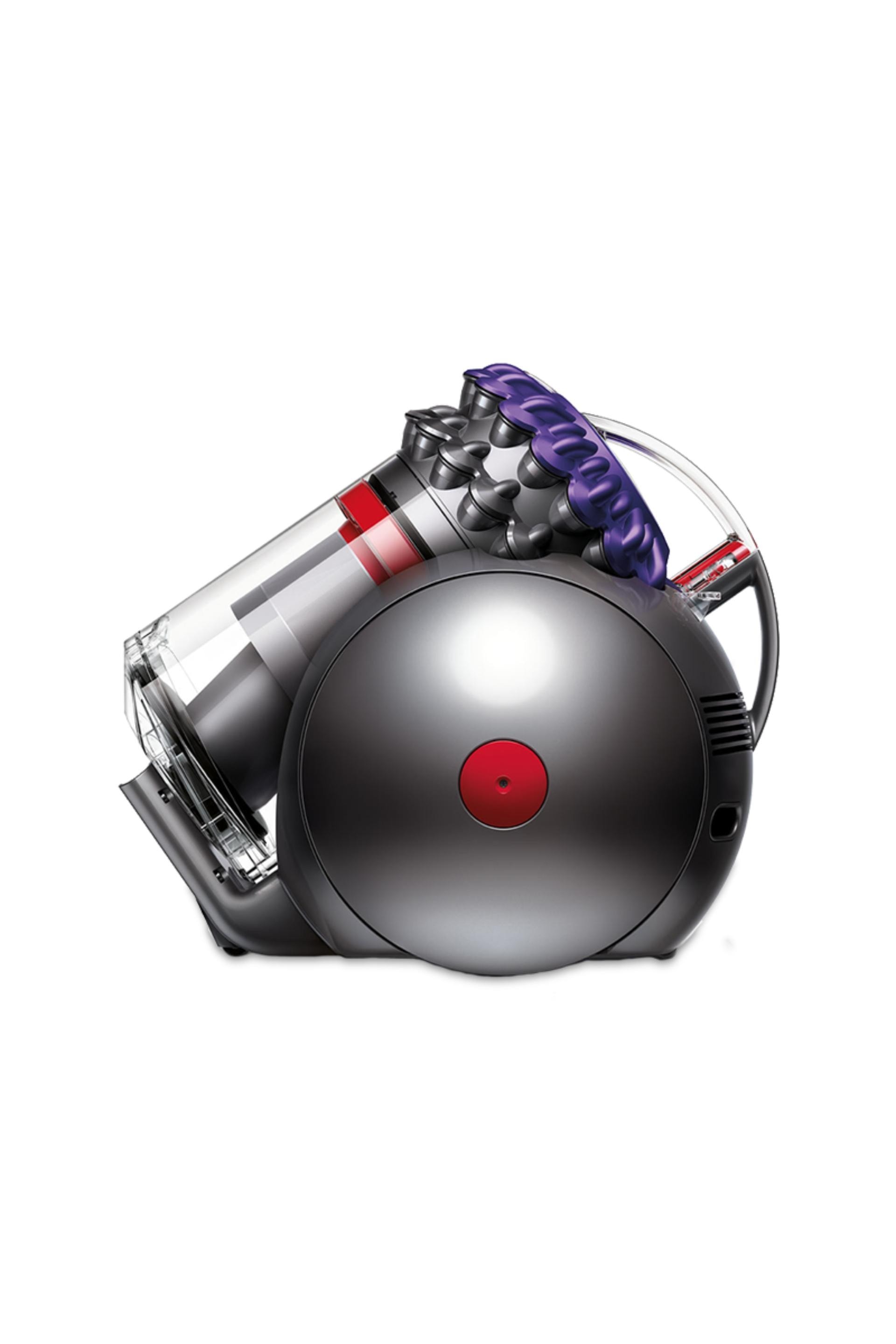Dyson Big Ball Animal 2 Cylinder Vacuum Cleaner – Iron/Purple
