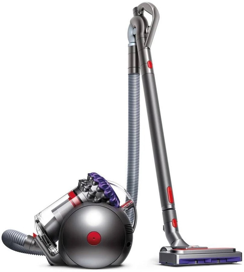 Dyson Big Ball Animal 2 Cylinder Vacuum Cleaner – Iron/Purple