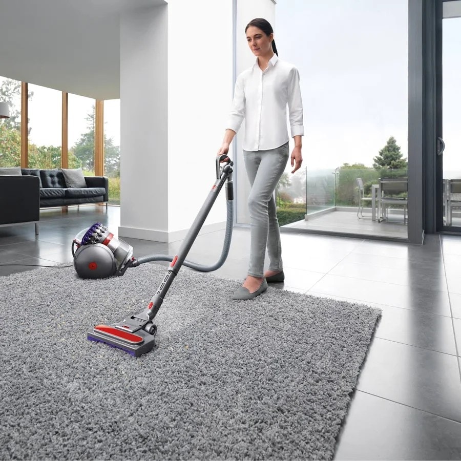 Dyson Big Ball Animal 2 Cylinder Vacuum Cleaner – Iron/Purple