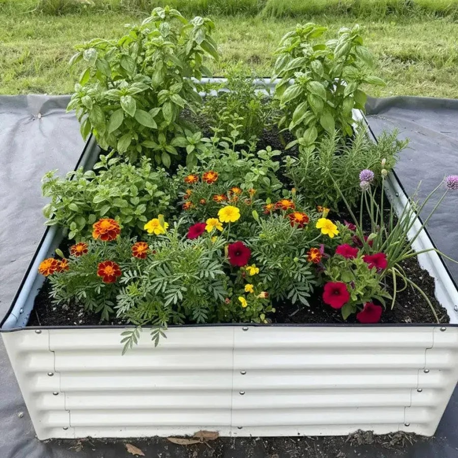 Metal raised garden bed, 8 × 2 ft, 17-inch tall, 9-in-1