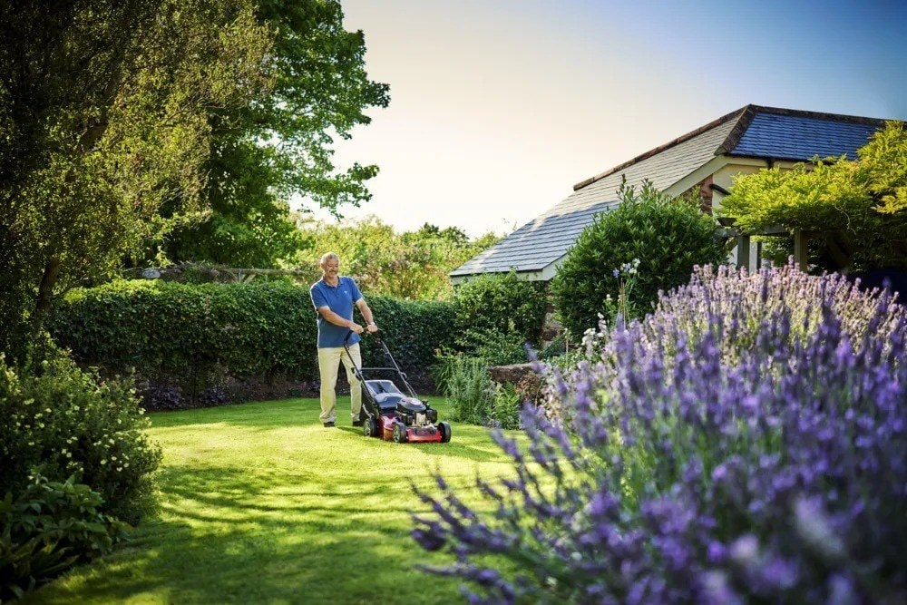 Mountfield SP185 Self-Propelled Petrol Lawnmower, 46cm Cutting Width